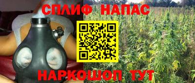 крисы Татарск