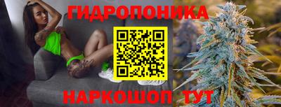 крисы Татарск