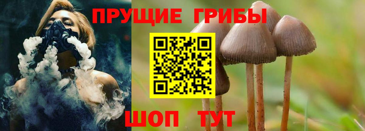 Галлюциногенные грибы MAGIC MUSHROOMS Азнакаево